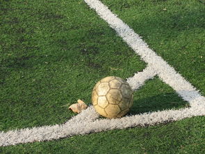 9游-中国足球角球效果统计评估，足球角球数据统计网站