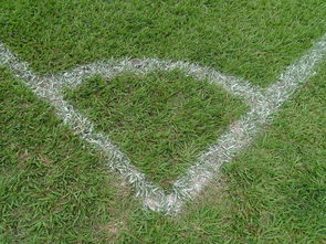 9游-中国足球角球效果统计评估，足球角球数据统计网站