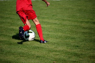 JiuyouAPP下载-篮球专项技能训练标准体系建设，篮球专项训练方法和手段